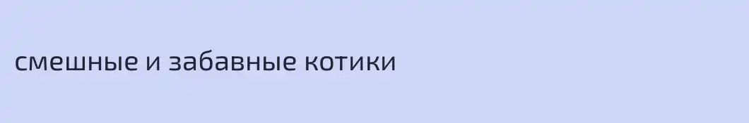 смешные и забавные котики
